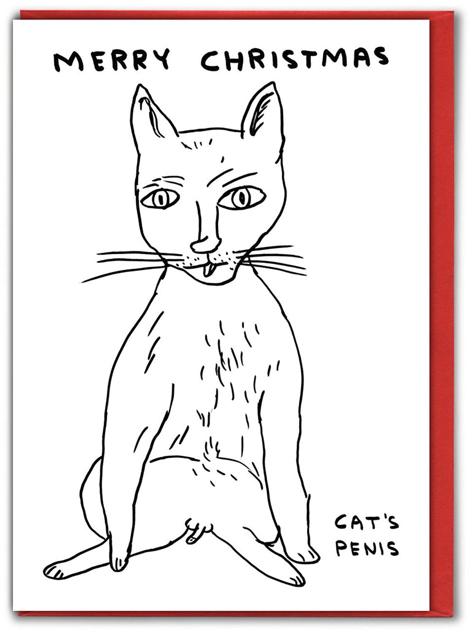 Cats Penis Card - David Shrigley