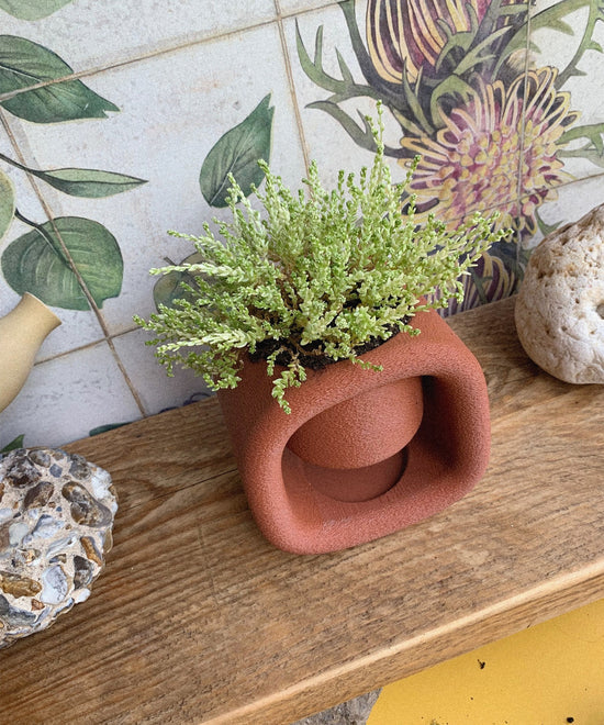 Kyu Mini Plant Pot - Burnt Ochre